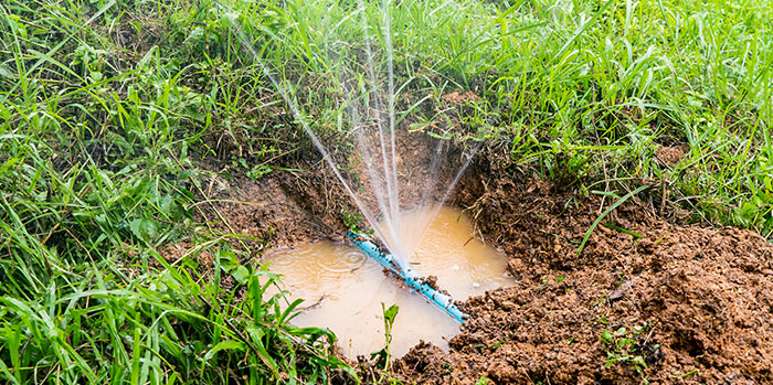 Affordable Irrigation Repair