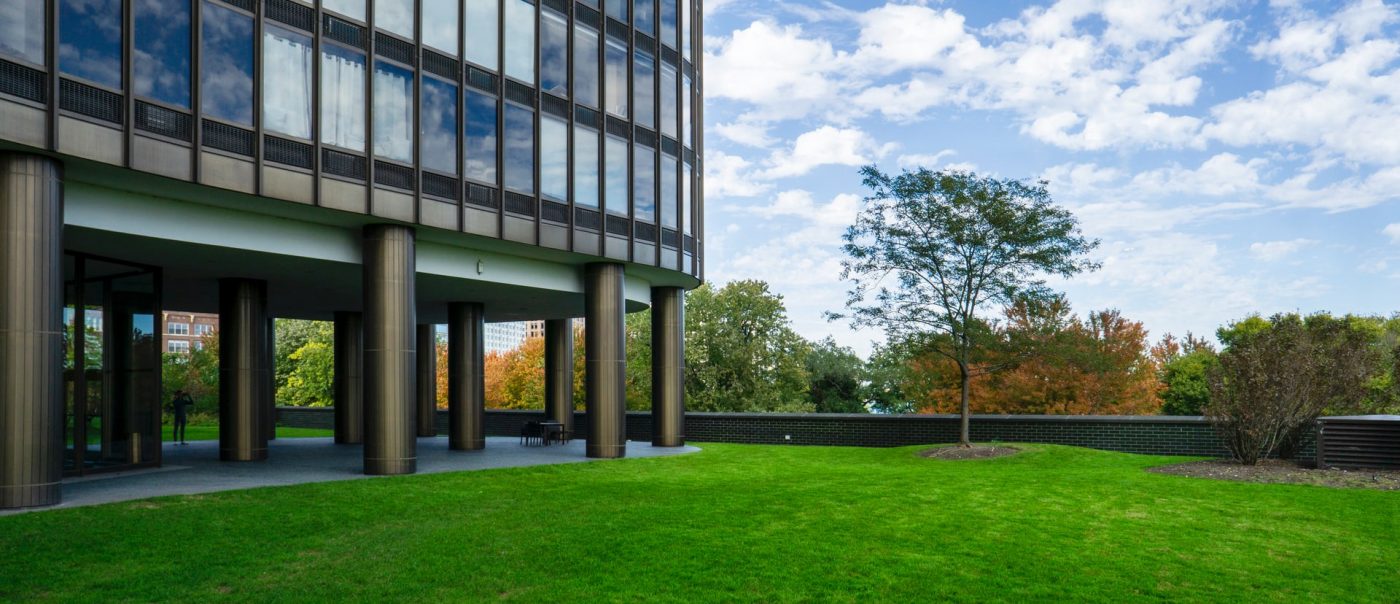 Lawn of an office building overlooking trees