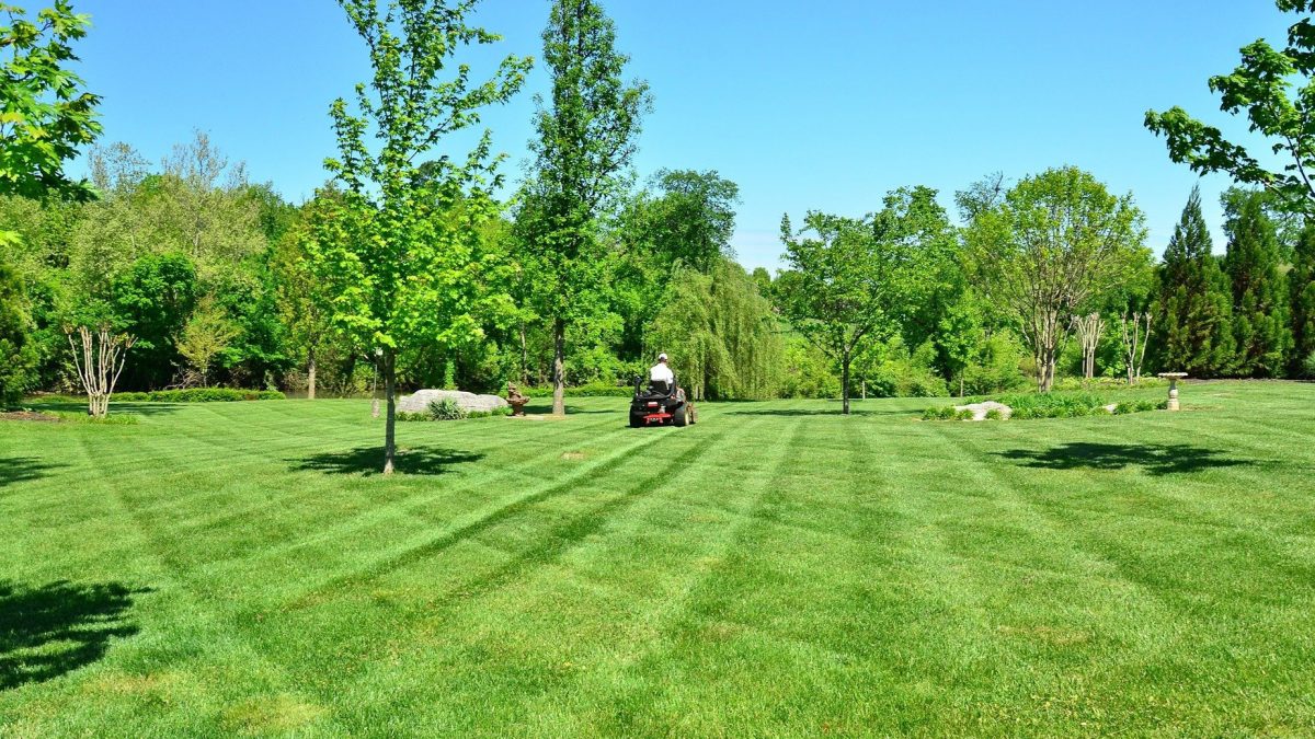 Commercial landscaping lawn maintenance