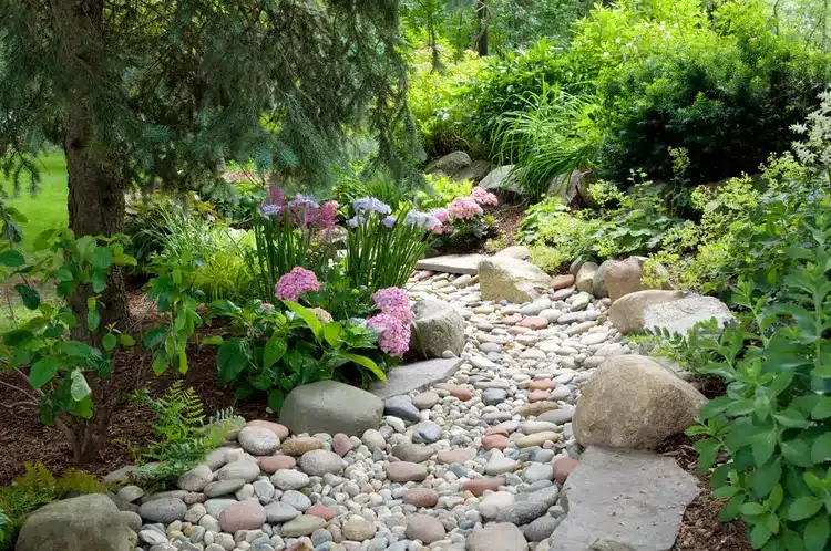 Attractive dry creek bed with plantings
