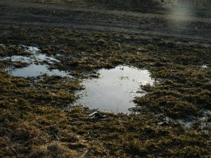 sign of drainage problems