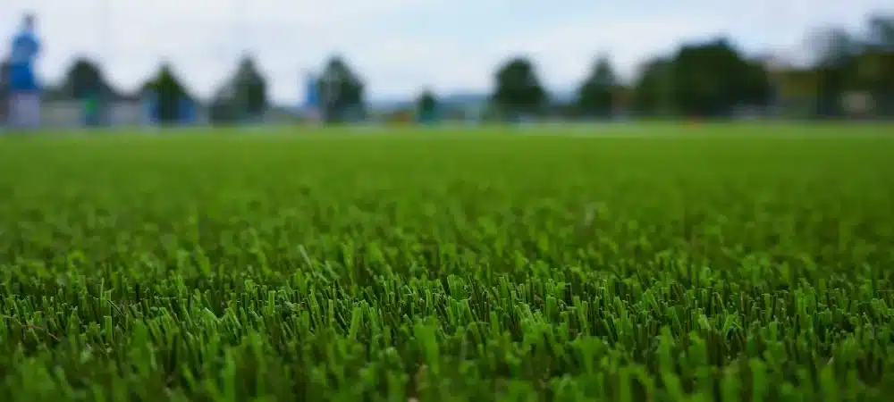 Artificial turf with trees in background
