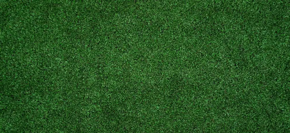 Green artificial turf top view