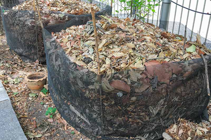 Leaves for Composting
