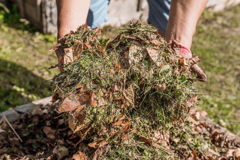 leaf mulch