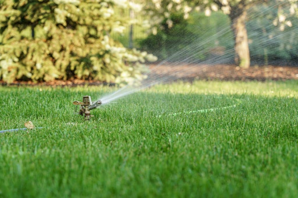 Sprinkler watering a lush green lawn 