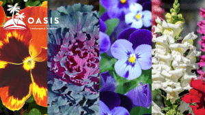 four fall flowers