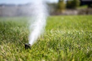 Close-up of a sprinkler head releasing water in a lawn