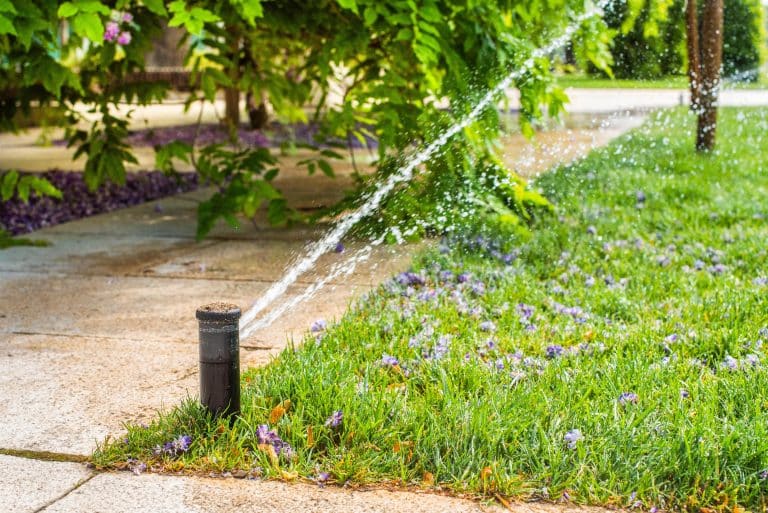 Sprinkler watering lawn with vibrant greenery around