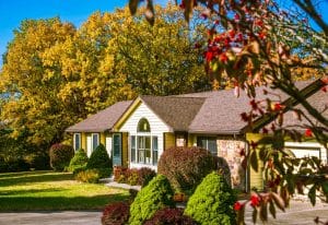 House with autumn trees and greenery.