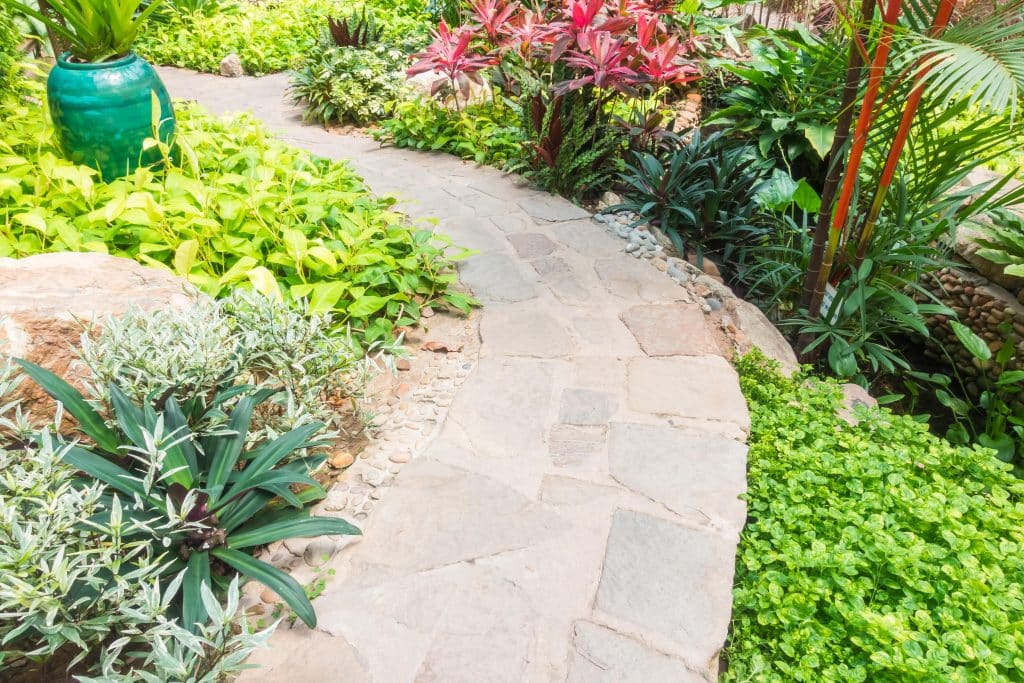 A stone pathway winding through vibrant green plants.