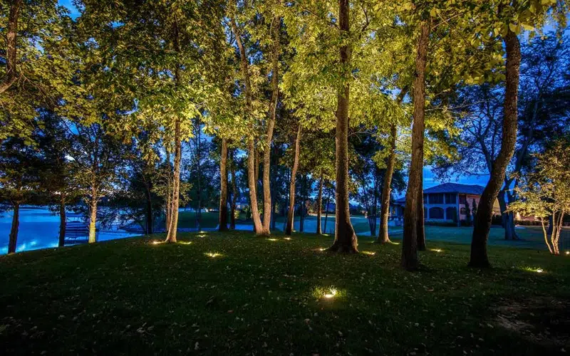 Flush-mounted well light installed in grass to provide up-lighting on trees while hiding the landscape lighting hardware.